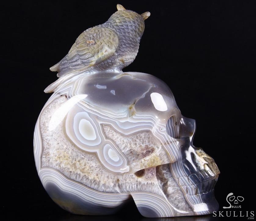 Lifesized 8.0" Amethyst Geode Agate Carved Crystal Skull with Owl Sculpture Lifesized 8.0" Amethyst Geode Agate Carved Crystal Skull with Owl Sculpture