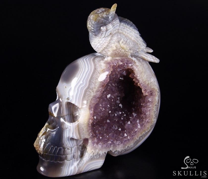 Lifesized 8.0" Amethyst Geode Agate Carved Crystal Skull with Owl Sculpture Lifesized 8.0" Amethyst Geode Agate Carved Crystal Skull with Owl Sculpture