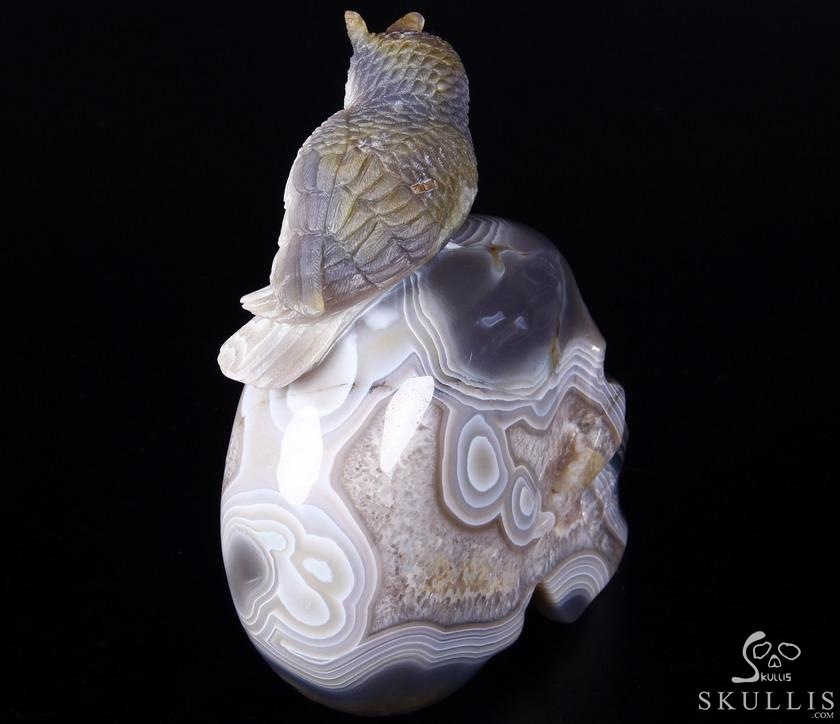 Lifesized 8.0" Amethyst Geode Agate Carved Crystal Skull with Owl Sculpture Lifesized 8.0" Amethyst Geode Agate Carved Crystal Skull with Owl Sculpture