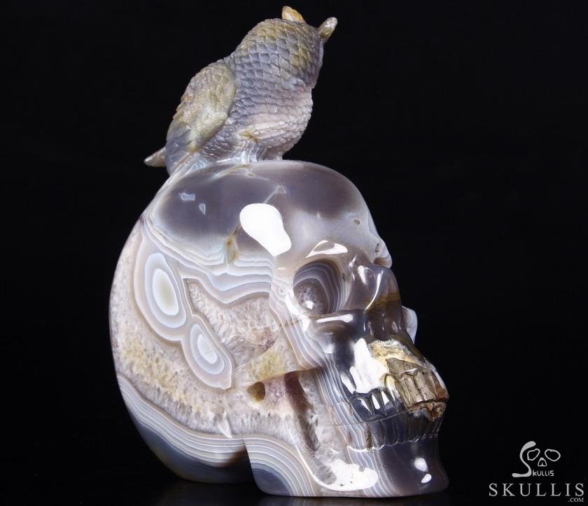 Lifesized 8.0" Amethyst Geode Agate Carved Crystal Skull with Owl Sculpture Lifesized 8.0" Amethyst Geode Agate Carved Crystal Skull with Owl Sculpture