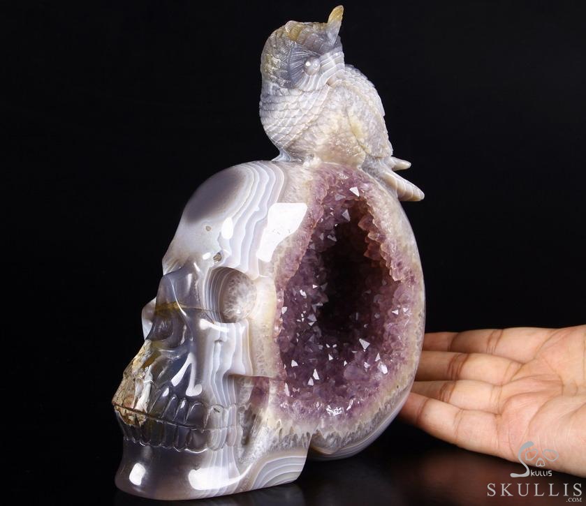 Lifesized 8.0" Amethyst Geode Agate Carved Crystal Skull with Owl Sculpture Lifesized 8.0" Amethyst Geode Agate Carved Crystal Skull with Owl Sculpture