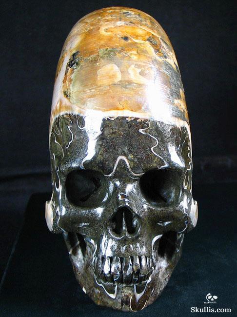 RARE Amazing Rainbows Biggest 6.8" Ammonite Fossil Carved Crystal Skull, Super Realistic 5.2LB, JUST FOR Zeltarah RARE Amazing Rainbows Biggest 6.8" Ammonite Fossil Carved Crystal Skull, Super Realistic 5.2LB, JUST FOR Zeltarah