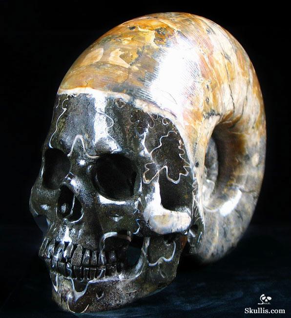 RARE Amazing Rainbows Biggest 6.8" Ammonite Fossil Carved Crystal Skull, Super Realistic 5.2LB, JUST FOR Zeltarah RARE Amazing Rainbows Biggest 6.8" Ammonite Fossil Carved Crystal Skull, Super Realistic 5.2LB, JUST FOR Zeltarah
