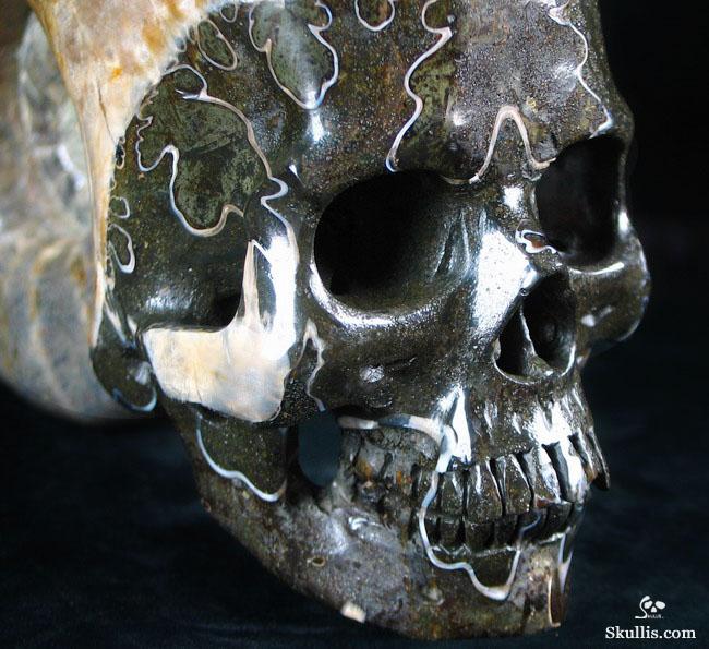 RARE Amazing Rainbows Biggest 6.8" Ammonite Fossil Carved Crystal Skull, Super Realistic 5.2LB, JUST FOR Zeltarah RARE Amazing Rainbows Biggest 6.8" Ammonite Fossil Carved Crystal Skull, Super Realistic 5.2LB, JUST FOR Zeltarah