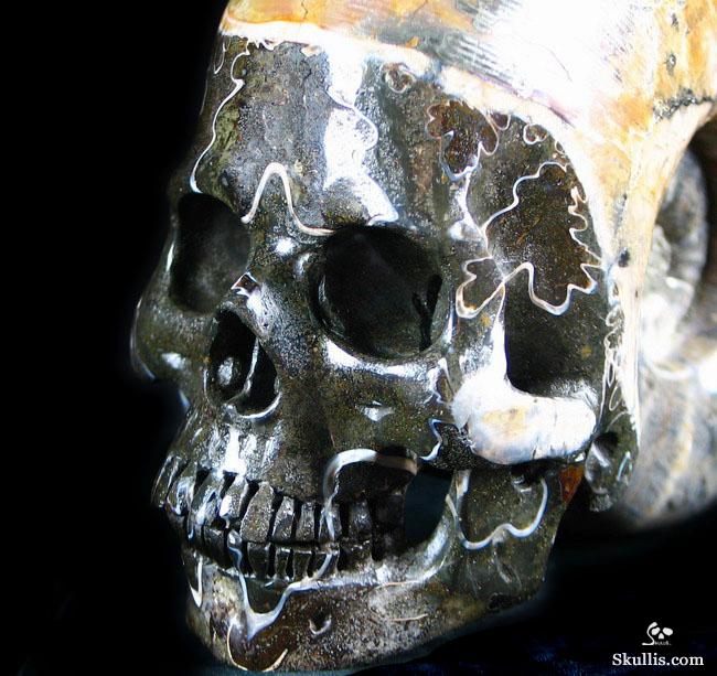 RARE Amazing Rainbows Biggest 6.8" Ammonite Fossil Carved Crystal Skull, Super Realistic 5.2LB, JUST FOR Zeltarah RARE Amazing Rainbows Biggest 6.8" Ammonite Fossil Carved Crystal Skull, Super Realistic 5.2LB, JUST FOR Zeltarah