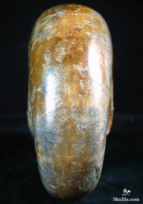 RARE Amazing Rainbows Biggest 6.8" Ammonite Fossil Carved Crystal Skull, Super Realistic 5.2LB, JUST FOR Zeltarah RARE Amazing Rainbows Biggest 6.8" Ammonite Fossil Carved Crystal Skull, Super Realistic 5.2LB, JUST FOR Zeltarah