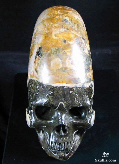 RARE Amazing Rainbows Biggest 6.8" Ammonite Fossil Carved Crystal Skull, Super Realistic 5.2LB, JUST FOR Zeltarah RARE Amazing Rainbows Biggest 6.8" Ammonite Fossil Carved Crystal Skull, Super Realistic 5.2LB, JUST FOR Zeltarah
