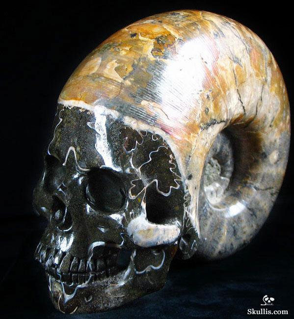 RARE Amazing Rainbows Biggest 6.8" Ammonite Fossil Carved Crystal Skull, Super Realistic 5.2LB, JUST FOR Zeltarah RARE Amazing Rainbows Biggest 6.8" Ammonite Fossil Carved Crystal Skull, Super Realistic 5.2LB, JUST FOR Zeltarah