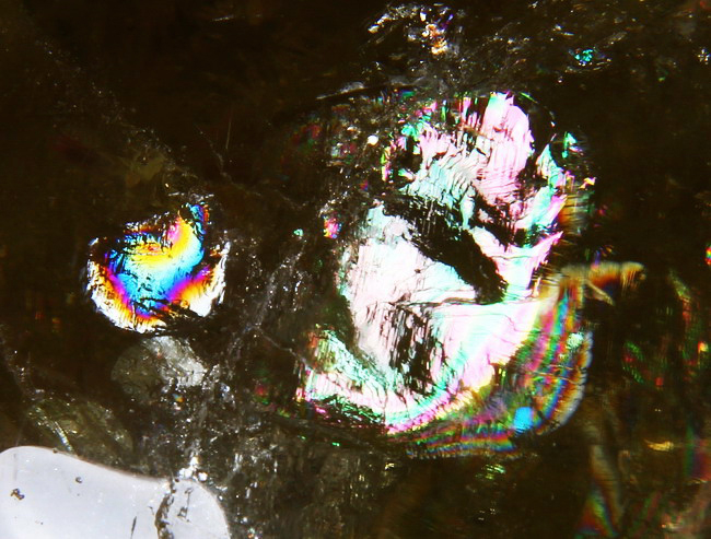 Top Quality! Clearest! 6.3" Citrine Carved Crystal Skull Super Realistic Top Quality! Clearest! 6.3" Citrine Carved Crystal Skull Super Realistic