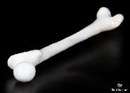 NEW ARRIVAL! 8.2" White Jade Carved Crystal Femur, Super Realistic