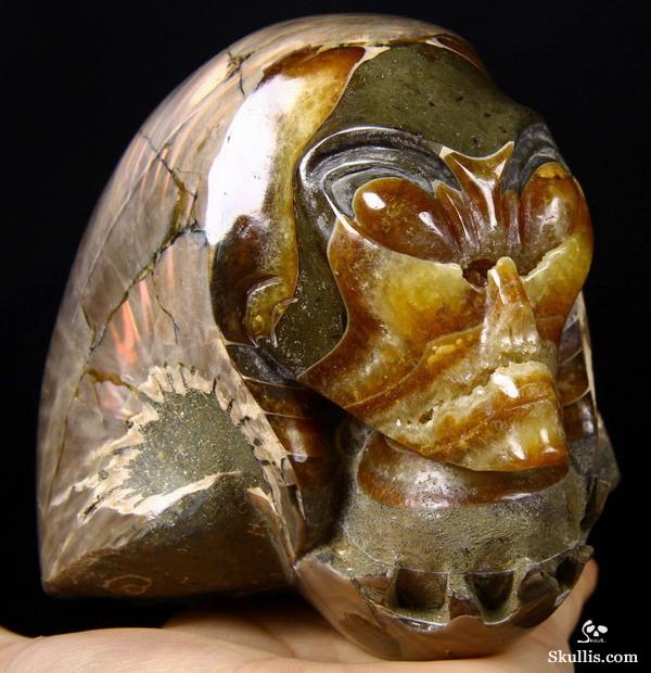 ammonite crystal ammonite crystal