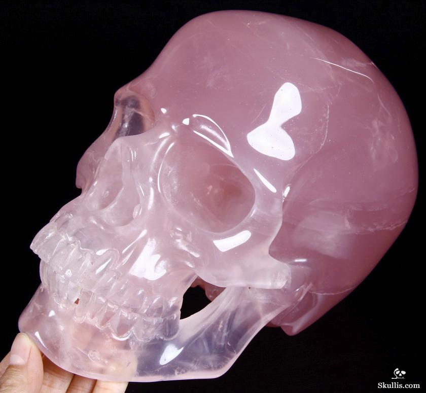 Sept 16, 2014 ACSAD (A Crystal Skull a Day) - Enduing Love - Giant Top Quality Rose Quartz Carved Crystal Skull Sculpture Sept 16, 2014 ACSAD (A Crystal Skull a Day) - Enduing Love - Giant Top Quality Rose Quartz Carved Crystal Skull Sculpture