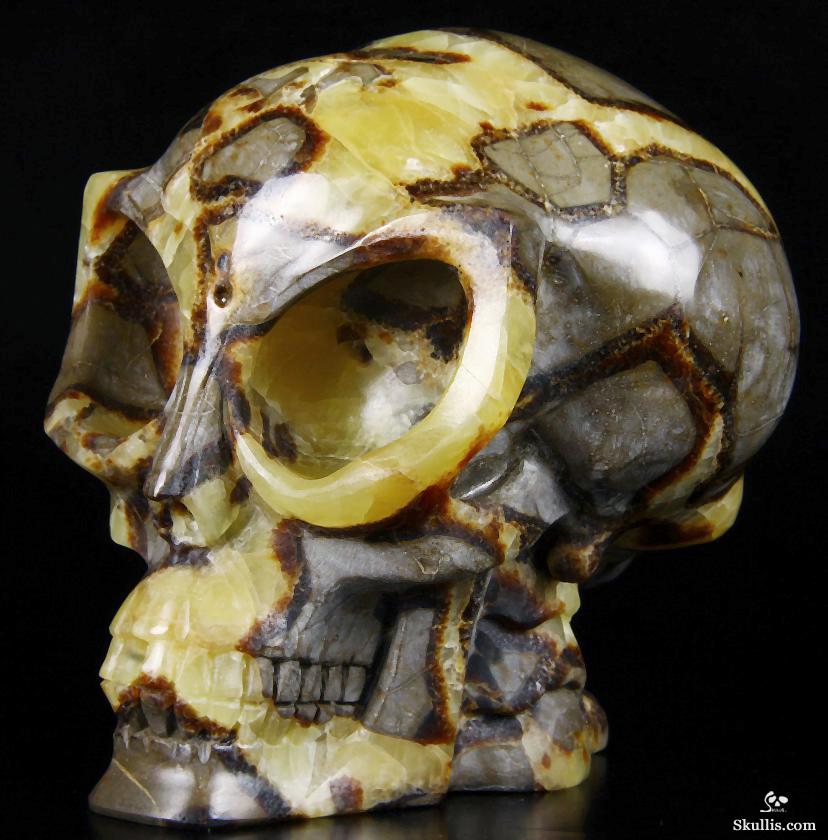 HUGE 5.5" Dragon Septarian Stone Carved Crystal Alien Skull HUGE 5.5" Dragon Septarian Stone Carved Crystal Alien Skull