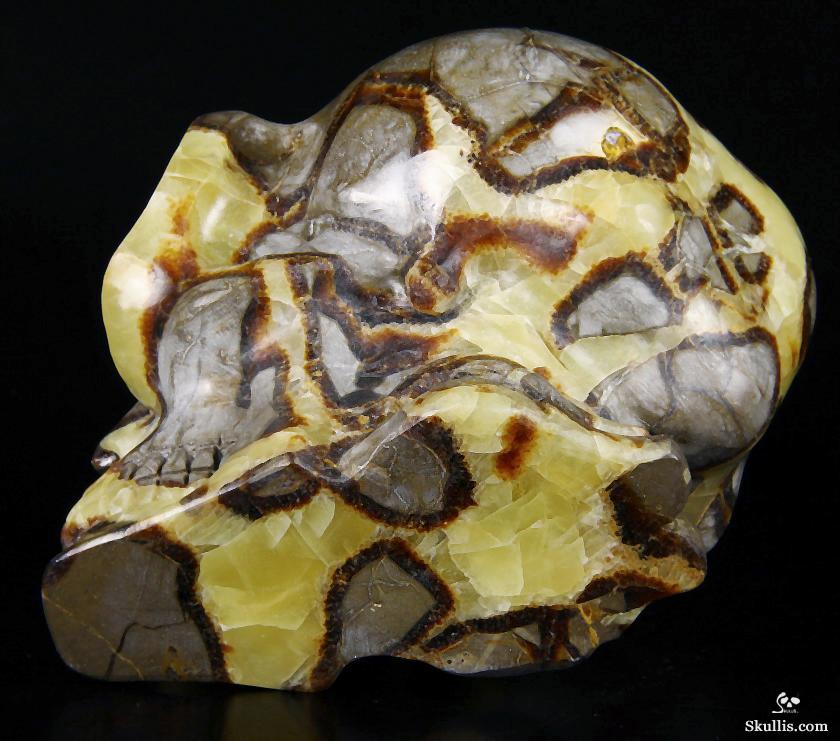 HUGE 5.5" Dragon Septarian Stone Carved Crystal Alien Skull HUGE 5.5" Dragon Septarian Stone Carved Crystal Alien Skull