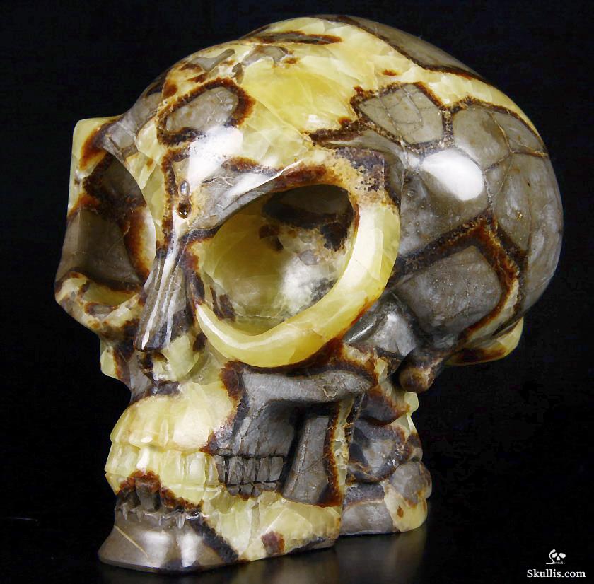HUGE 5.5" Dragon Septarian Stone Carved Crystal Alien Skull HUGE 5.5" Dragon Septarian Stone Carved Crystal Alien Skull