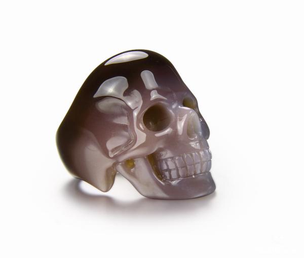 Size 7.5 Fine Gemstone Mozambique Agate Carved Crystal Skull Ring #4804491 Size 7.5 Fine Gemstone Mozambique Agate Carved Crystal Skull Ring #4804491