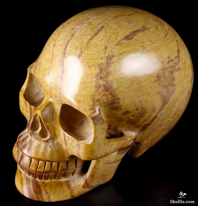 HUGE 5.5" Mongolian Banded Jasper Carved Crystal Skull, Realistic HUGE 5.5" Mongolian Banded Jasper Carved Crystal Skull, Realistic