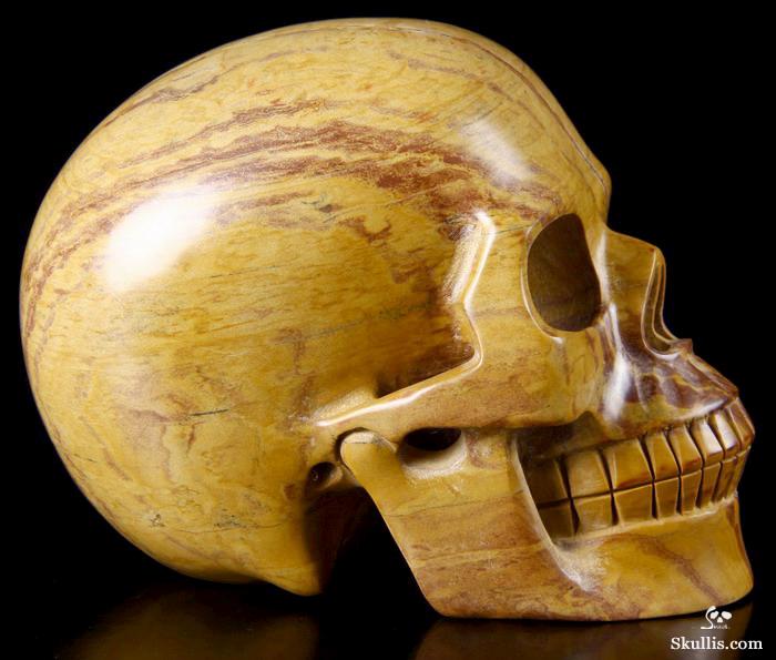 HUGE 5.5" Mongolian Banded Jasper Carved Crystal Skull, Realistic HUGE 5.5" Mongolian Banded Jasper Carved Crystal Skull, Realistic