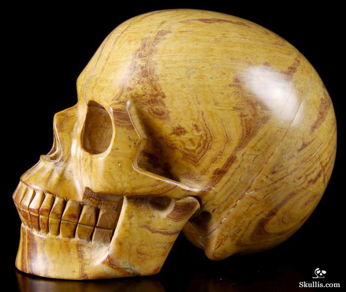HUGE 5.5" Mongolian Banded Jasper Carved Crystal Skull, Realistic HUGE 5.5" Mongolian Banded Jasper Carved Crystal Skull, Realistic
