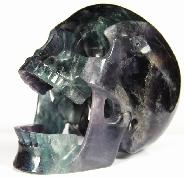 HUGE 5.3" Fluorite Carved Crystal Screaming Skull