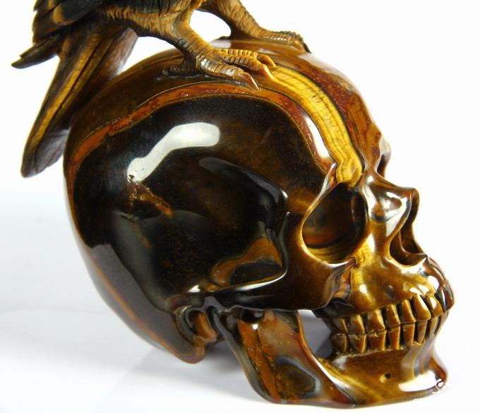 Amazing Flash Gemstone Huge 6.7" Gold Tiger Eye Carved Crystal Skull with Raven Sculpture Amazing Flash Gemstone Huge 6.7" Gold Tiger Eye Carved Crystal Skull with Raven Sculpture