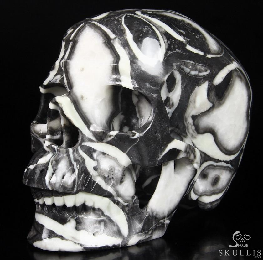 Lifesized 7.4" Sea Shell Marble Carved Crystal Skull, Super Realistic Lifesized 7.4" Sea Shell Marble Carved Crystal Skull, Super Realistic