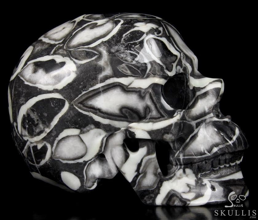 Lifesized 7.4" Sea Shell Marble Carved Crystal Skull, Super Realistic Lifesized 7.4" Sea Shell Marble Carved Crystal Skull, Super Realistic