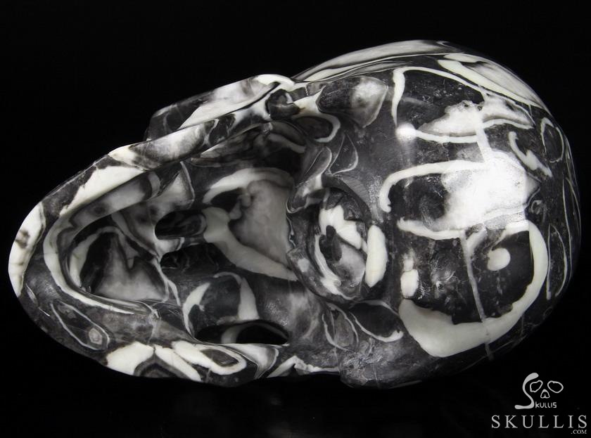 Lifesized 7.4" Sea Shell Marble Carved Crystal Skull, Super Realistic Lifesized 7.4" Sea Shell Marble Carved Crystal Skull, Super Realistic