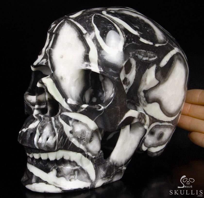 Lifesized 7.4" Sea Shell Marble Carved Crystal Skull, Super Realistic Lifesized 7.4" Sea Shell Marble Carved Crystal Skull, Super Realistic