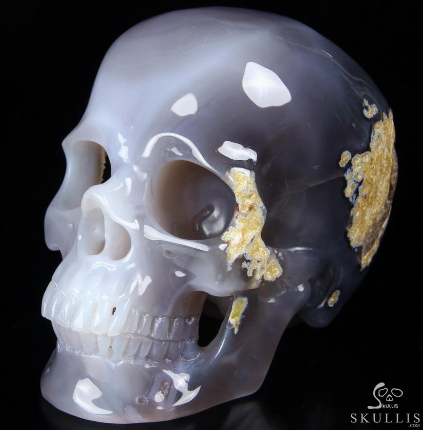 Huge 6.0" Grey & White Agate Carved Crystal Skull,Super Realistic Huge 6.0" Grey & White Agate Carved Crystal Skull,Super Realistic