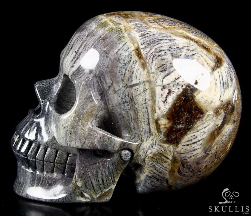 Huge 5.1" Unkown Stone Carved Crystal Skull, Realistic Huge 5.1" Unkown Stone Carved Crystal Skull, Realistic