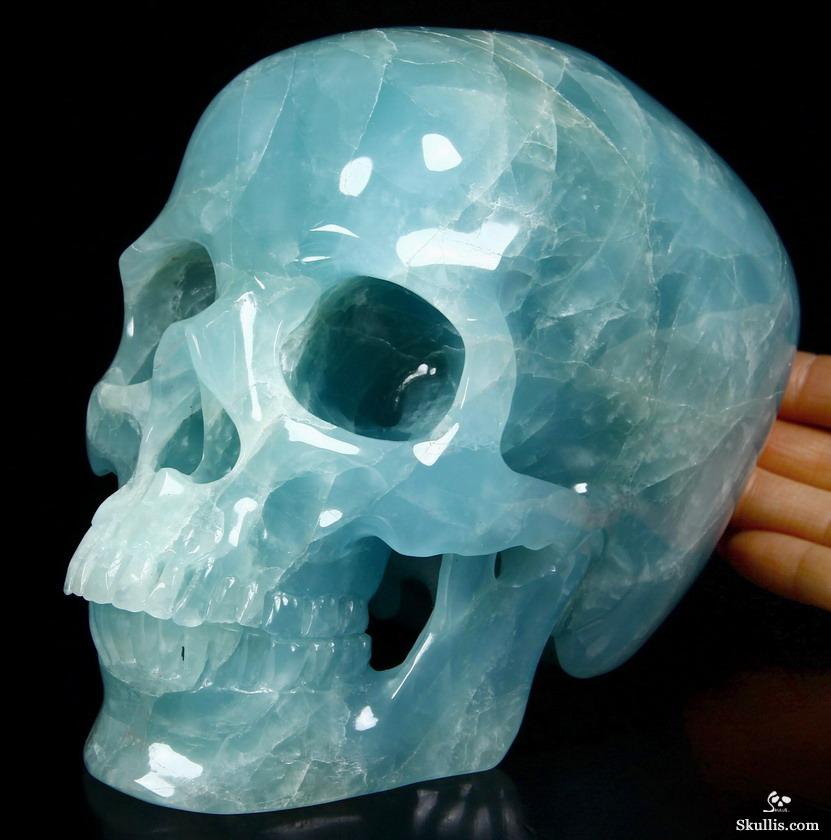 BLUE CRYSTAL SKULL オードパルファム 30ML BLUE CRYSTAL SKULL オードパルファム 30ML