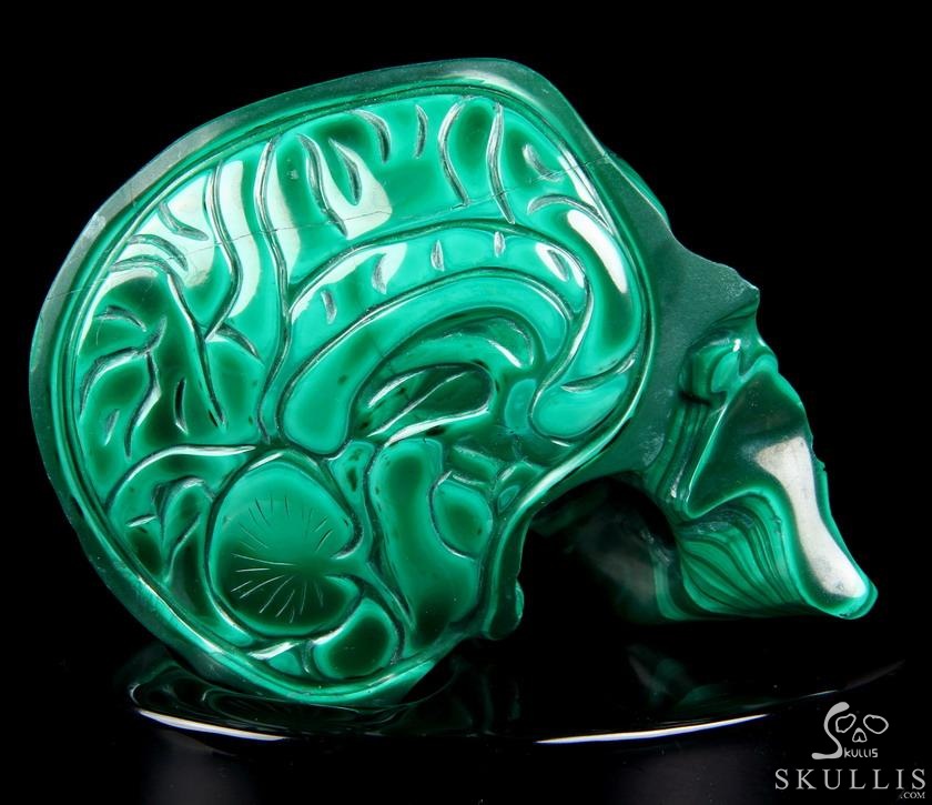 Awesome Gemstone Huge 4.9" Malachite Carved Crystal Skull Sculpture with Black Obsidian Stand Awesome Gemstone Huge 4.9" Malachite Carved Crystal Skull Sculpture with Black Obsidian Stand