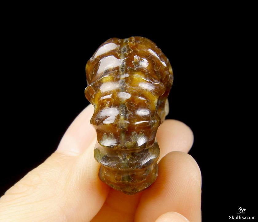 1.4" Ammonite Fossil Carved Crystal Skull 1.4" Ammonite Fossil Carved Crystal Skull