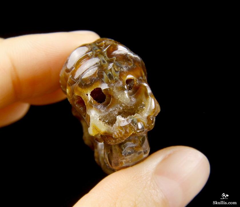 1.4" Ammonite Fossil Carved Crystal Skull 1.4" Ammonite Fossil Carved Crystal Skull