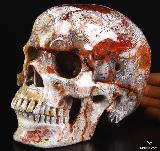 Gemstone Huge 6.2" Crazy Lace Agate Carved Crystal Skull, Super Realistic