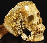Amazing Lifesized 7.6" Coral Fossil Carved Crystal Skull Pendant