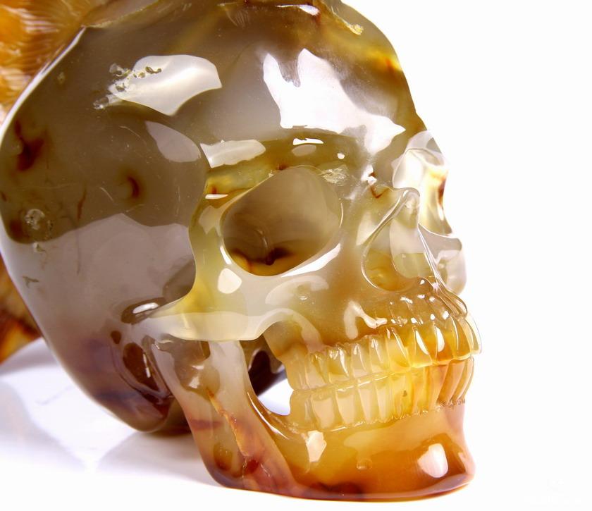 Amazing Gemstone Huge 5.7" Carnelian Carved Crystal Punk Skull Sculpture Amazing Gemstone Huge 5.7" Carnelian Carved Crystal Punk Skull Sculpture