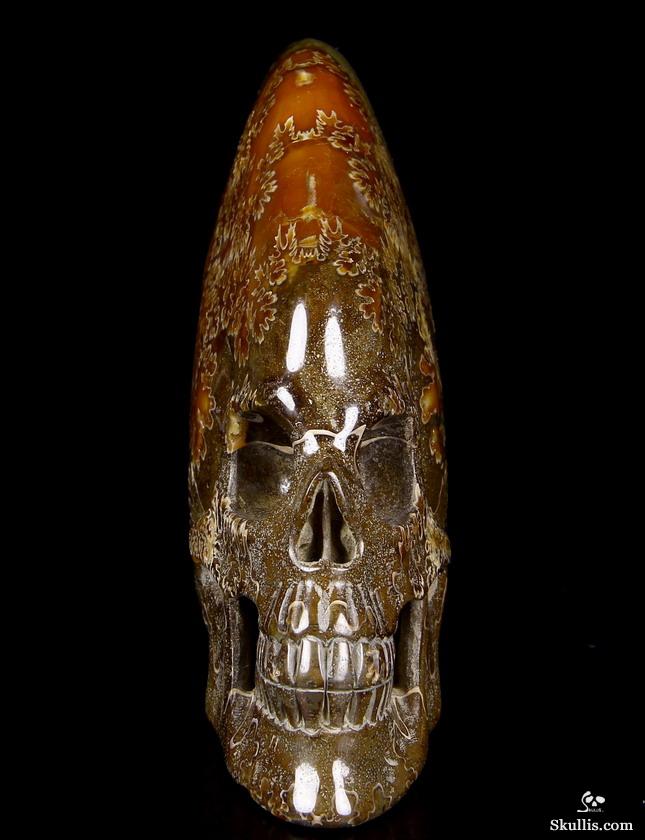 Huge 9.1" Ammonite Fossil Carved Crystal Skull Sculpture Huge 9.1" Ammonite Fossil Carved Crystal Skull Sculpture