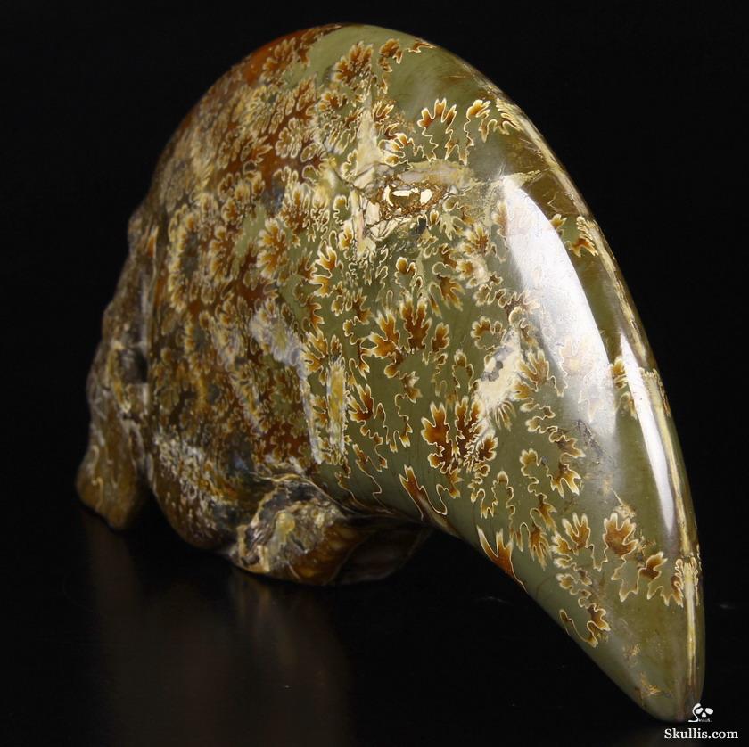 Huge 9.1" Ammonite Fossil Carved Crystal Skull Sculpture Huge 9.1" Ammonite Fossil Carved Crystal Skull Sculpture
