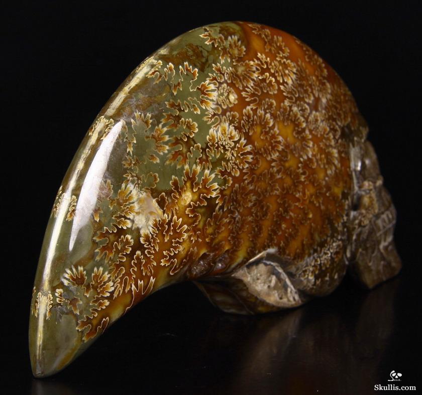 Huge 9.1" Ammonite Fossil Carved Crystal Skull Sculpture Huge 9.1" Ammonite Fossil Carved Crystal Skull Sculpture