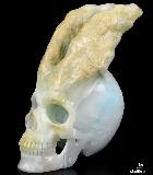 Awesome Huge 5.7" Blue Aragonite Carved Crystal Skull & Horns Sculpture