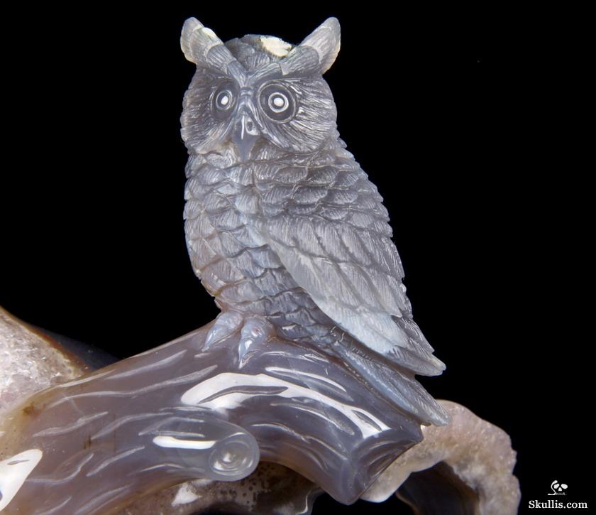 Nice Huge 5.8" Amethyst Druse & Agate Carved Crystal Skull & Owl Sculpture Nice Huge 5.8" Amethyst Druse & Agate Carved Crystal Skull & Owl Sculpture