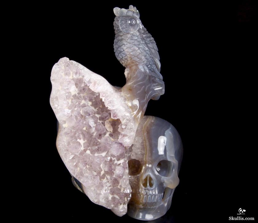 Nice Huge 5.8" Amethyst Druse & Agate Carved Crystal Skull & Owl Sculpture Nice Huge 5.8" Amethyst Druse & Agate Carved Crystal Skull & Owl Sculpture
