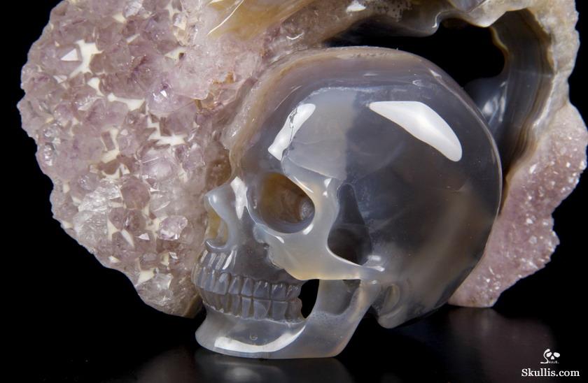 Nice Huge 5.8" Amethyst Druse & Agate Carved Crystal Skull & Owl Sculpture Nice Huge 5.8" Amethyst Druse & Agate Carved Crystal Skull & Owl Sculpture