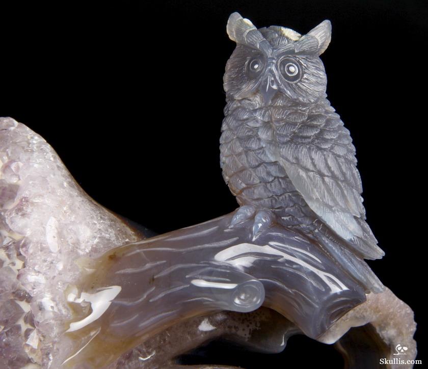 Nice Huge 5.8" Amethyst Druse & Agate Carved Crystal Skull & Owl Sculpture Nice Huge 5.8" Amethyst Druse & Agate Carved Crystal Skull & Owl Sculpture