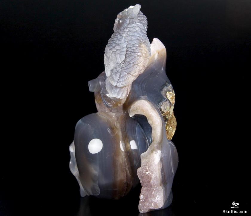 Nice Huge 5.8" Amethyst Druse & Agate Carved Crystal Skull & Owl Sculpture Nice Huge 5.8" Amethyst Druse & Agate Carved Crystal Skull & Owl Sculpture