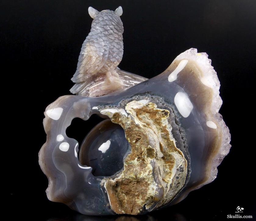 Nice Huge 5.8" Amethyst Druse & Agate Carved Crystal Skull & Owl Sculpture Nice Huge 5.8" Amethyst Druse & Agate Carved Crystal Skull & Owl Sculpture