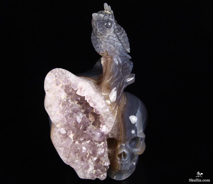 Nice Huge 5.8" Amethyst Druse & Agate Carved Crystal Skull & Owl Sculpture Nice Huge 5.8" Amethyst Druse & Agate Carved Crystal Skull & Owl Sculpture