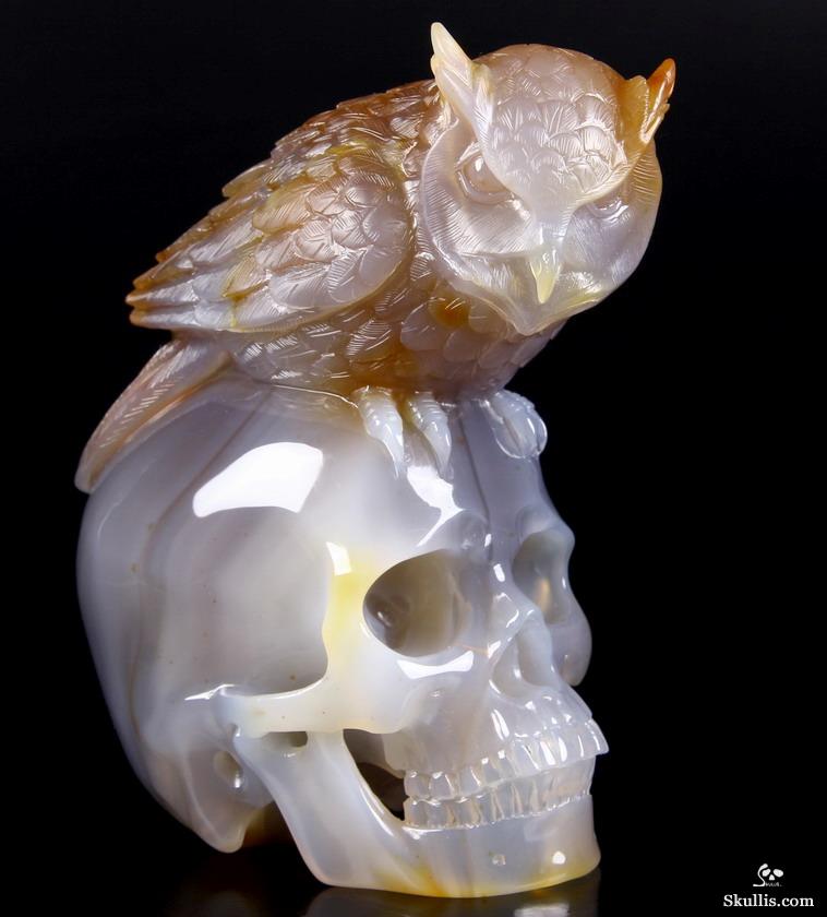 Huge 6.4" Carnelian Carved Crystal Skull with Owl Sculpture Huge 6.4" Carnelian Carved Crystal Skull with Owl Sculpture